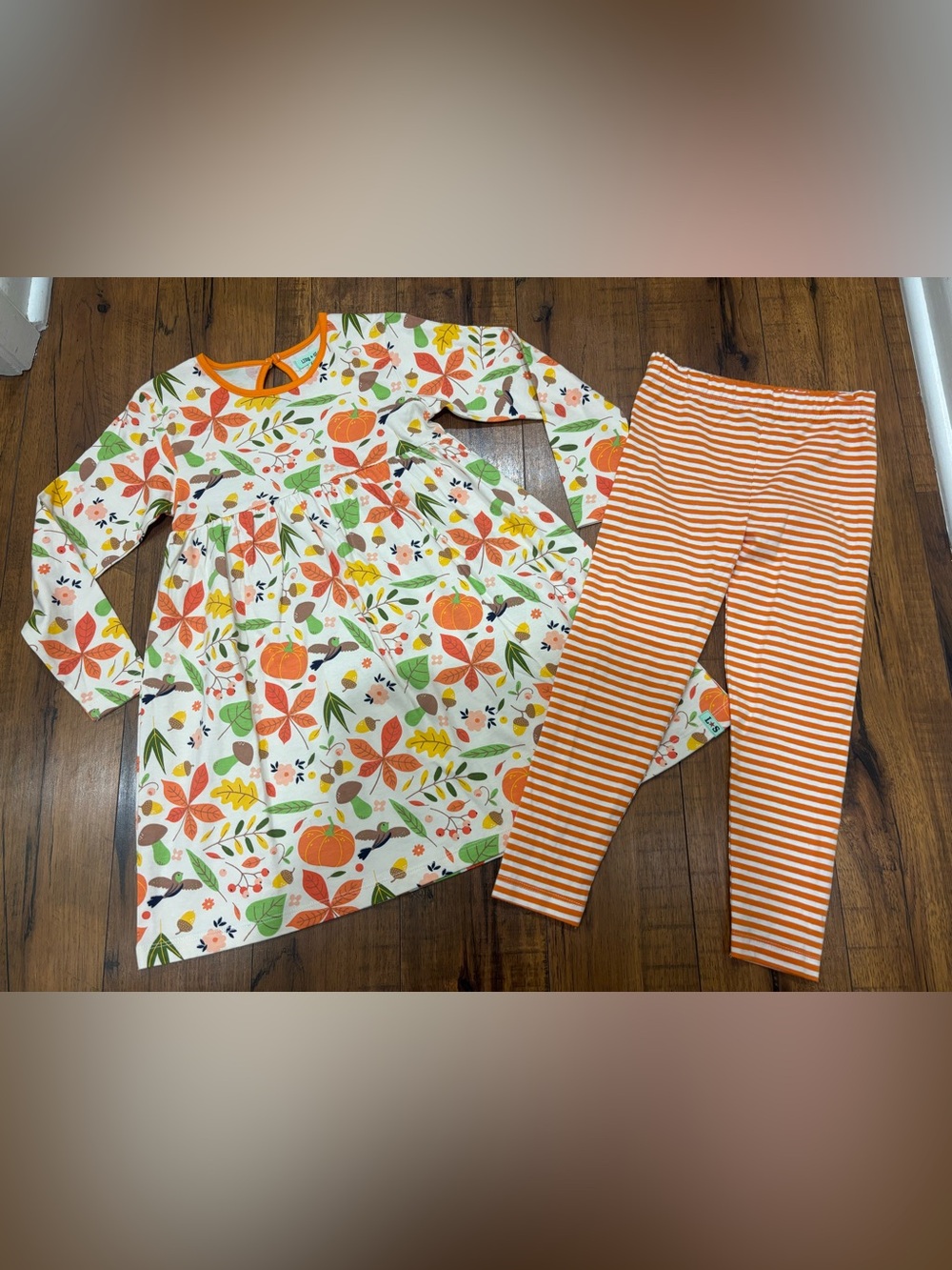Lilly and Sid Autumn Fall Dress & Leggings Set NWOT Mushroom Pumpkin Acorn Birds